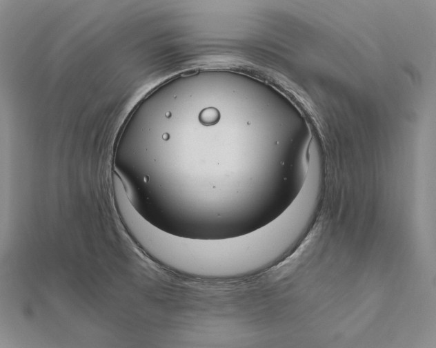 X0000112011473200908311124
