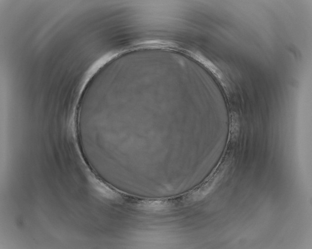 X0000112011474200908311124