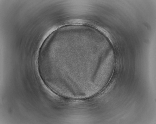 X0000112011475200908311124