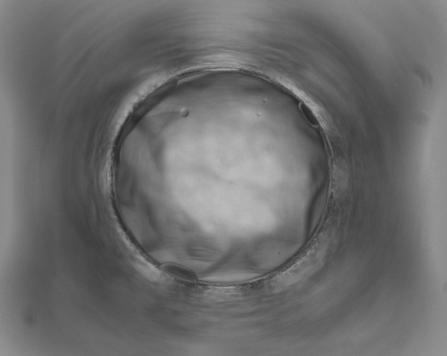 X0000112011477200908311124