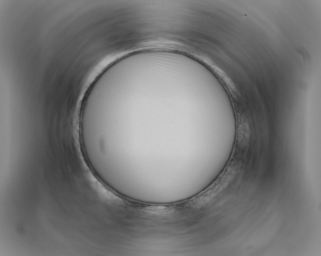 X0000112011478200908311124