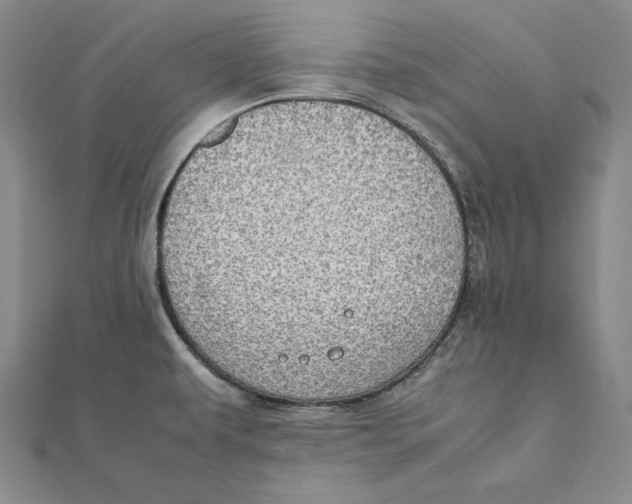 X0000112011479200908311124