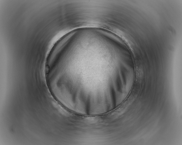 X0000112011480200908311124