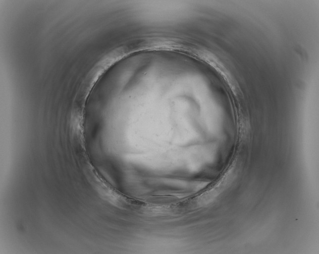 X0000112011481200908311124
