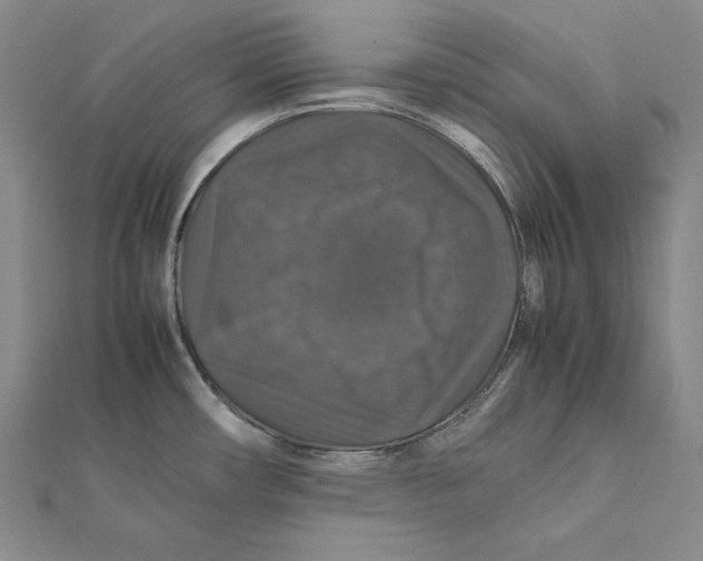 X0000112011482200908311124