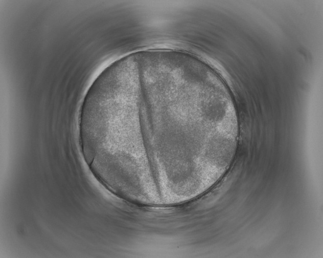 X0000112011483200908311124
