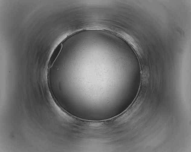 X0000112011484200908311124