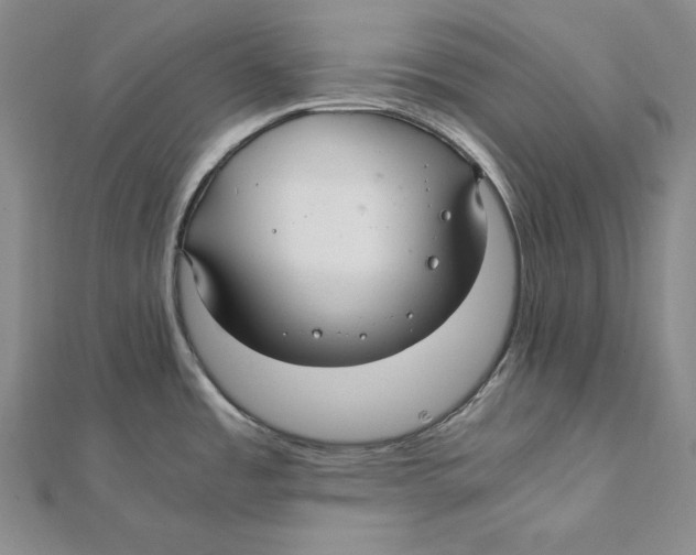 X0000112011485200908311124