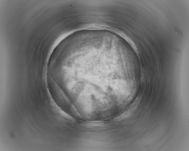 X0000112011486200908311124