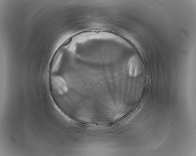 X0000112011487200908311124