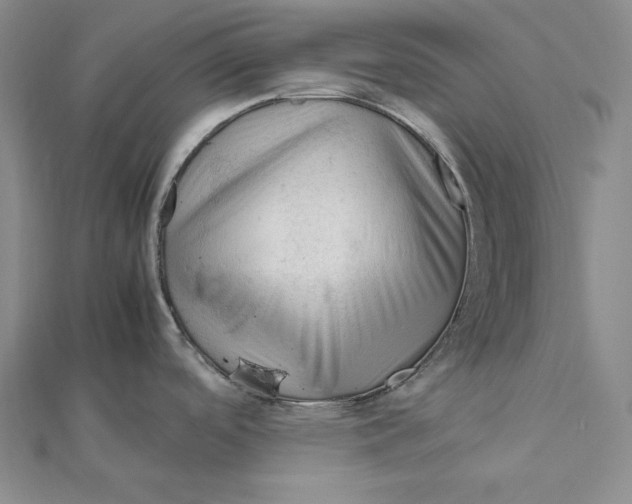 X0000112011488200908311124