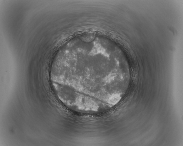 X0000112011489200908311124