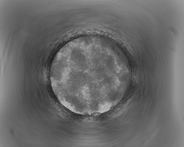 X0000112011490200908311124