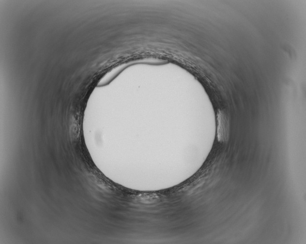 X0000112011491200908311124