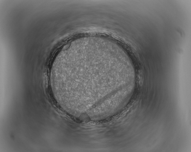 X0000112011493200908311124