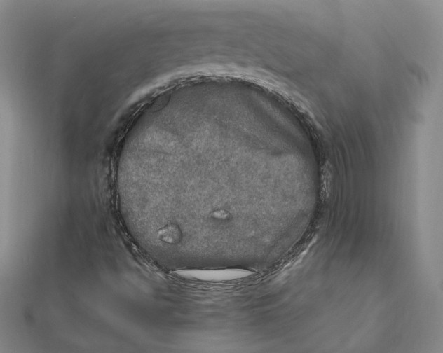 X0000112011494200908311124