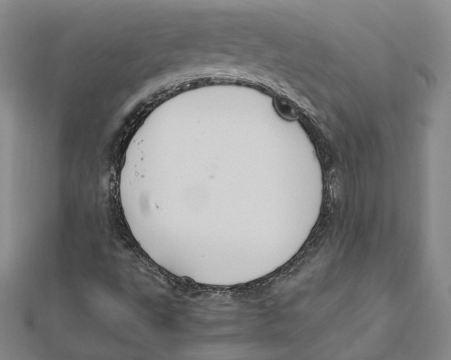 X0000112011495200908311124