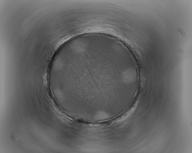 X0000112011497200908311124