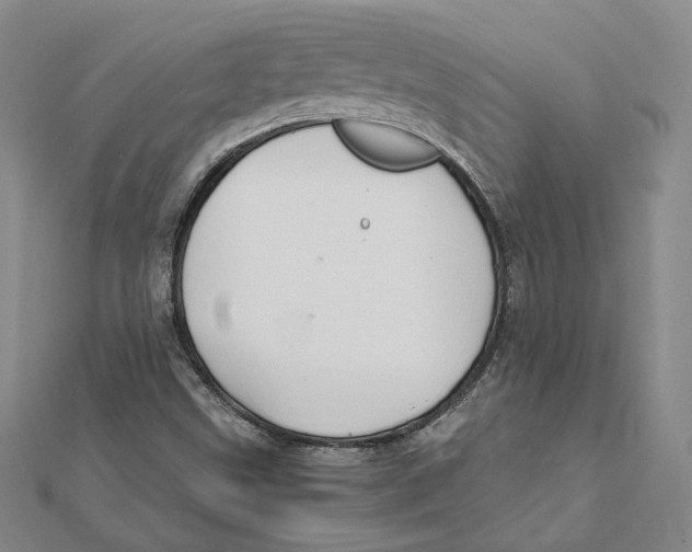 X0000112011499200908311124