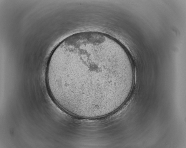 X0000112011500200908311124