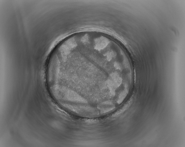 X0000112011501200908311124