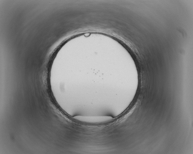X0000112011502200908311124