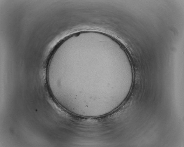 X0000112011503200908311124