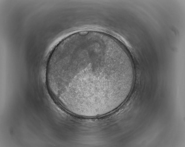 X0000112011504200908311124