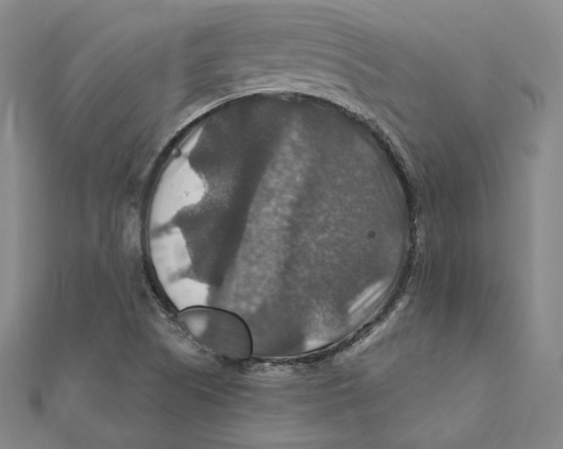 X0000112011505200908311124