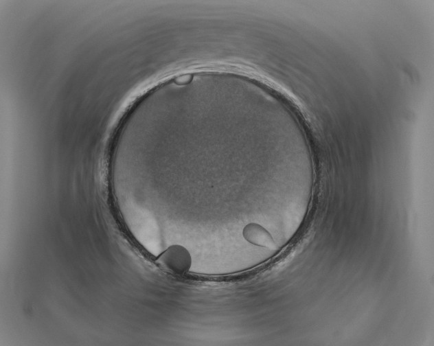 X0000112011506200908311124