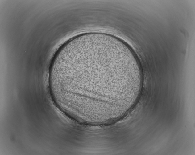 X0000112011507200908311124