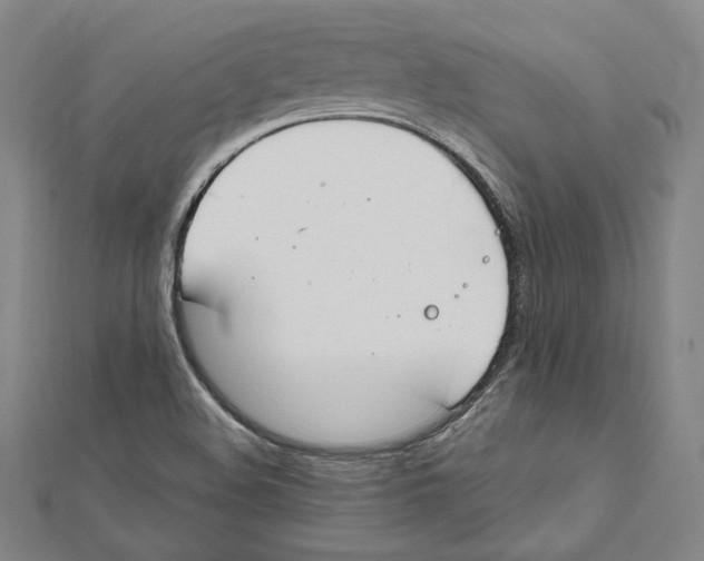 X0000112011508200908311124