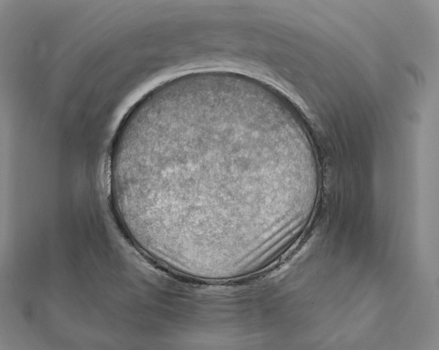 X0000112011510200908311124