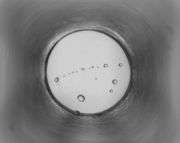 X0000112011512200908311124