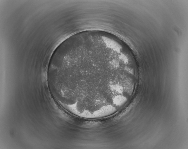 X0000112011513200908311124