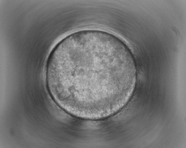 X0000112011514200908311124