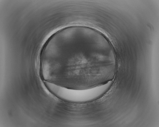 X0000112011515200908311124