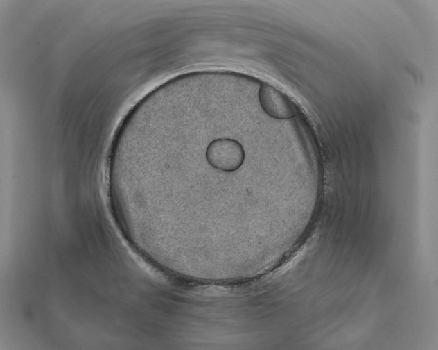 X0000112011517200908311124