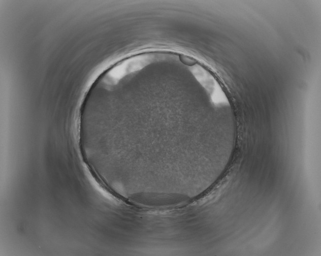 X0000112011519200908311124