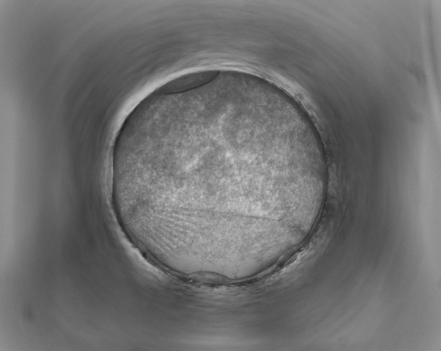 X0000112011520200908311124