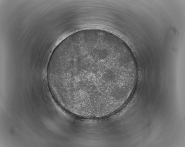 X0000112011521200908311124