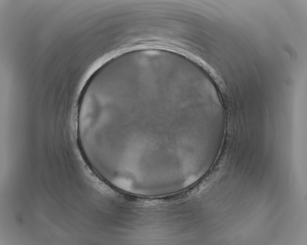 X0000112011522200908311124