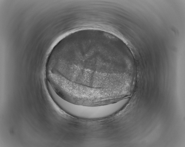 X0000112011523200908311124