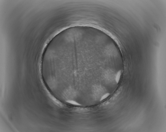 X0000112011525200908311124