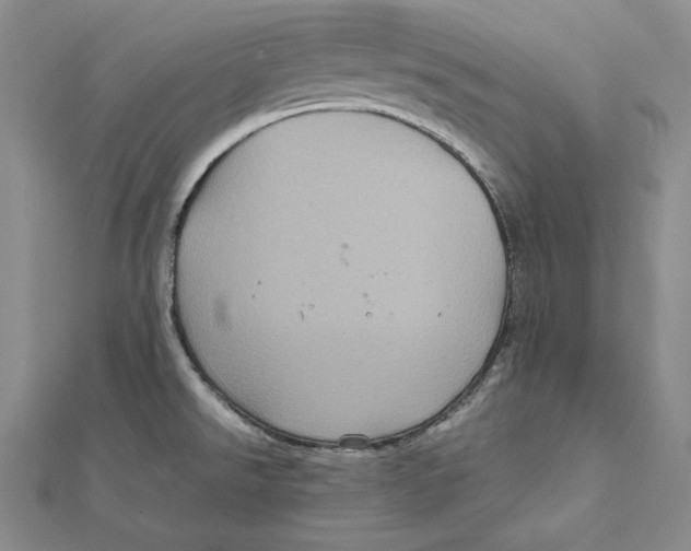 X0000112011526200908311124