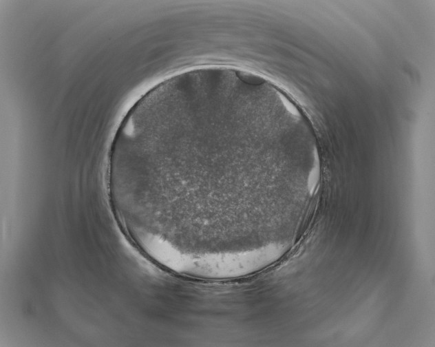 X0000112011527200908311124