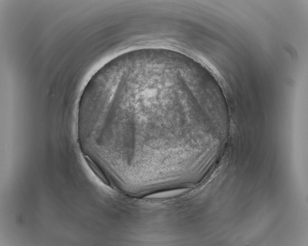 X0000112011528200908311124