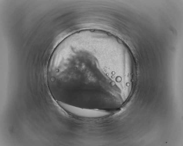 X0000112011529200908311124