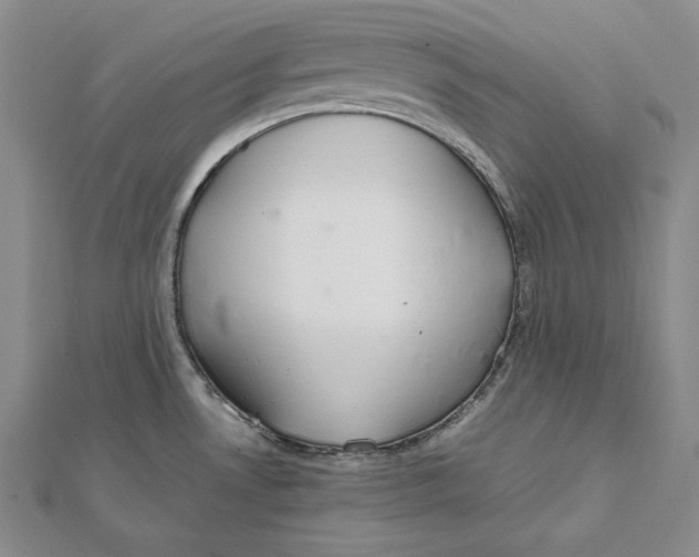 X0000112011530200908311124