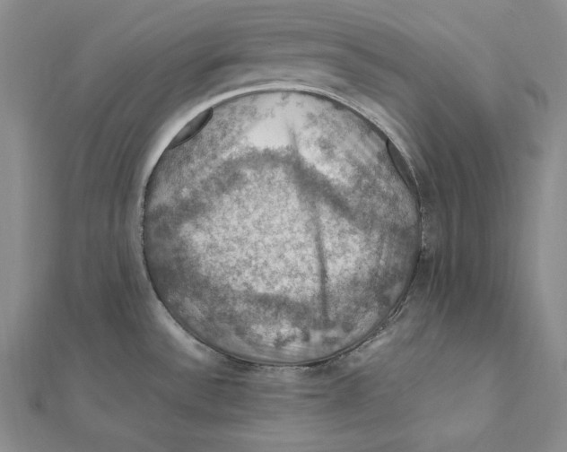 X0000112011532200908311124